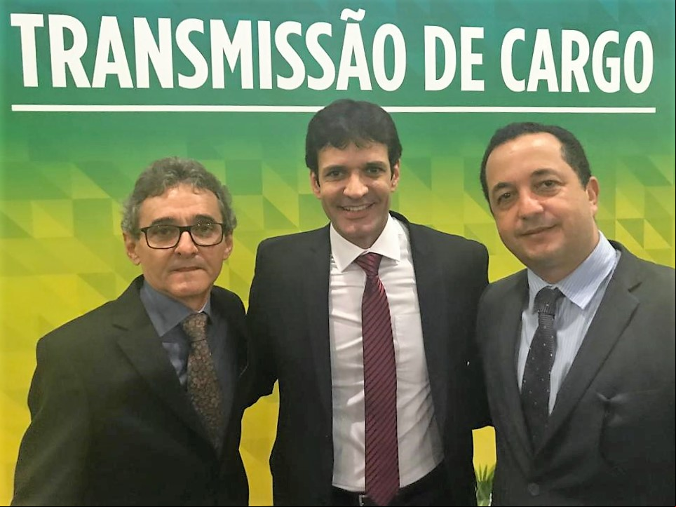 Artigo
